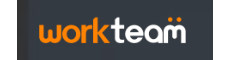 WorkTeam logo