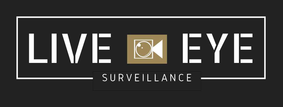 Live Eye Surveillance logo