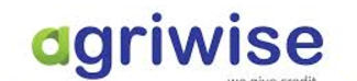 Wise System logo